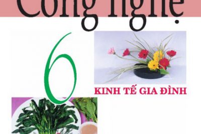 Đề cương ôn tập HK1 môn Công nghệ 6,7